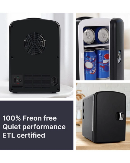 Portable Mini Fridge