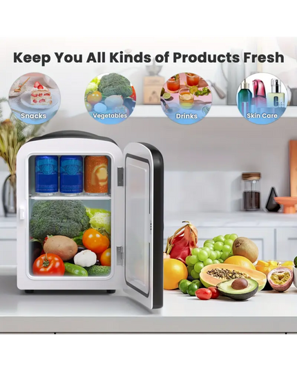 Portable Mini Fridge