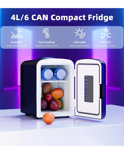 Portable Mini Fridge